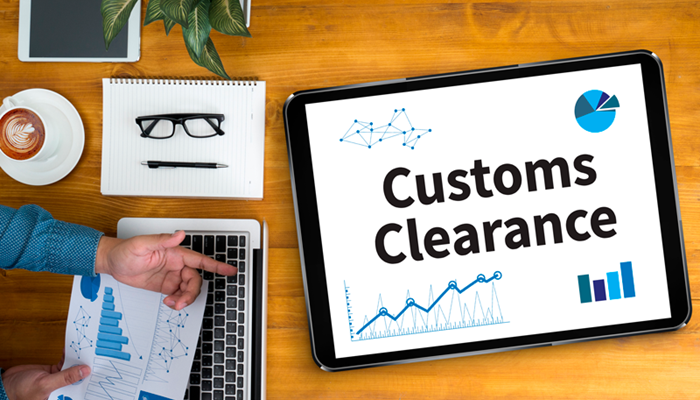 Customs Clearance Process with RUBIK: Expert Solutions for Seamless Logistics